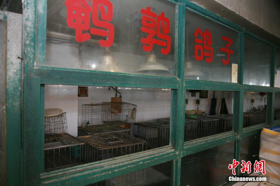 浙江新增5例H7N9禽流感病例活禽交易暂停(组