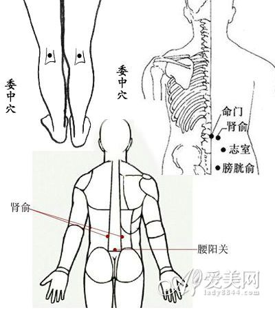 1,揉命门穴.