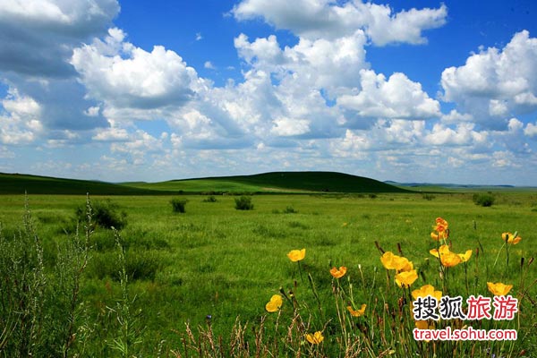 习主席内蒙考察 那达慕大会弹马奶酒祝福新年