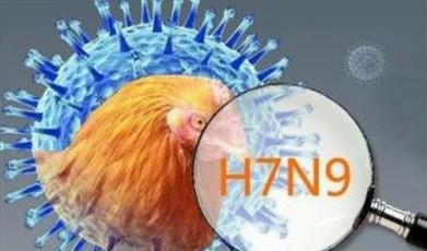 深圳感染H7N9禽流感死亡病例 已确诊17例病例