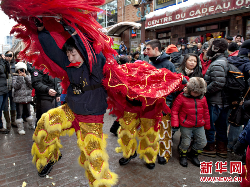 【组图】加拿大蒙特利尔华人舞狮庆祝马年春节(高清组图)