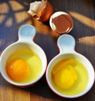 鸡蛋在常温下最多保存一周 细菌致散黄不宜食