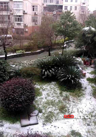 ¦»лѩ