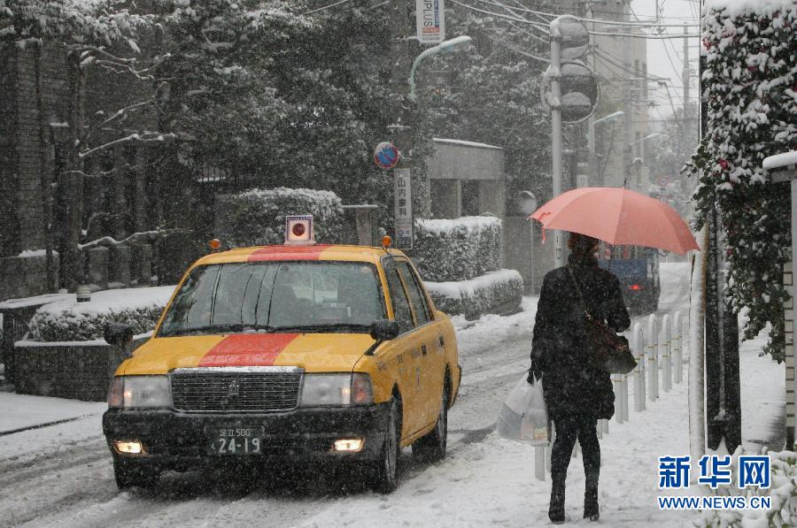 日本强降雪造成5人死亡(图)
