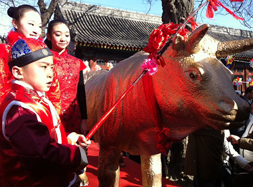 2014立春文化节:观象台下打春牛