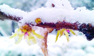 雪中彩影婚纱摄影_雪中彩影幸福团购会盛大开启!