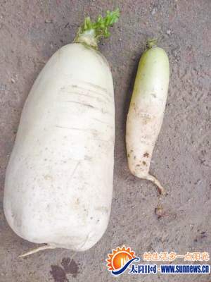 ԼҲ˵ڳȻһܲ30(ͼ)