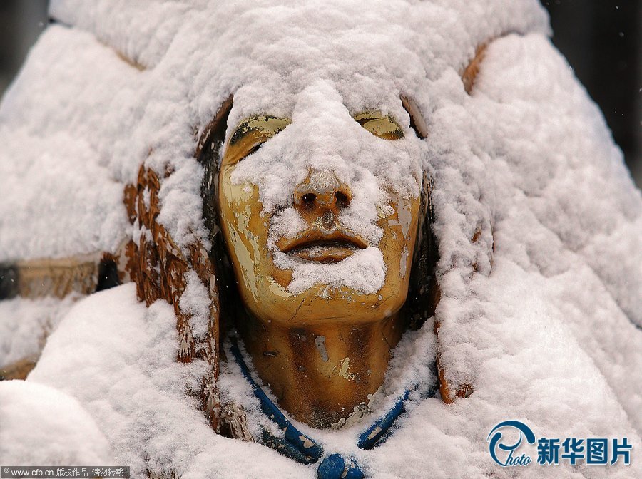 【组图】美国南部遭遇"灾难性"暴风雪:大雪厚冰"前所未有(组图)