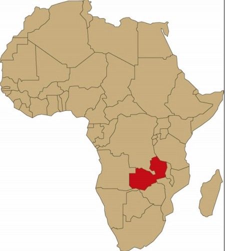赞比亚中资企业遇袭1死6伤 工人拿斧打死2名歹