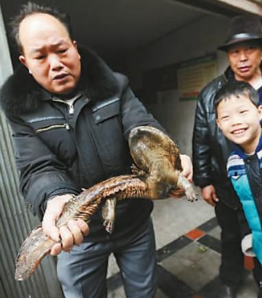 小区深夜传来娃娃哭声 第二天发现是奇怪生物