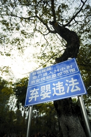在弃婴岛前竖着一块“弃婴违法”的警示牌，希望警醒父母们不要轻易抛弃孩子。