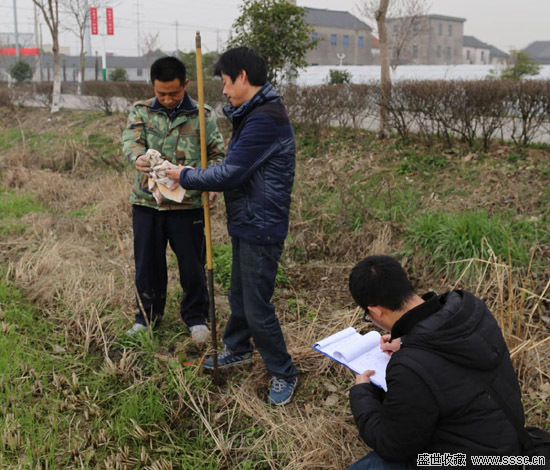嘉善大往遗址实地调查勘探工作全面启动(图)
