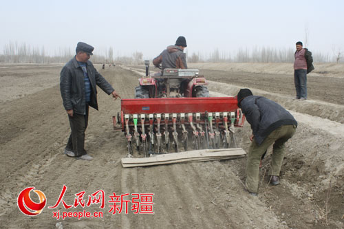 媒体新闻滚动_搜狐资讯  0 图为小茴香播种现场.