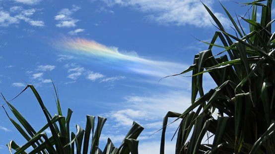 澳昆州天空现彩虹云引民众拍照称赞(图)