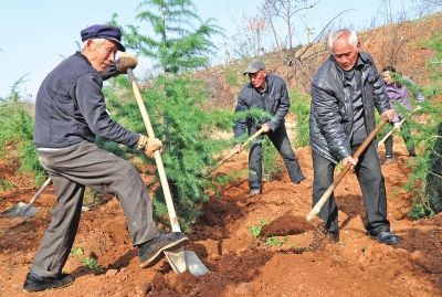 眼下正是栽种树苗的好时节,孙旗屯乡组织各村群众挖坑栽树,绿