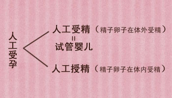 你会发现网上很多种说法:人工受精,人工授精,人工受孕,这三个词在同