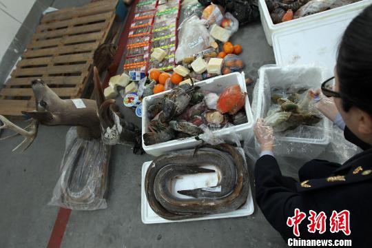 上海检验检疫部门集中销毁禁止携带入境物品等