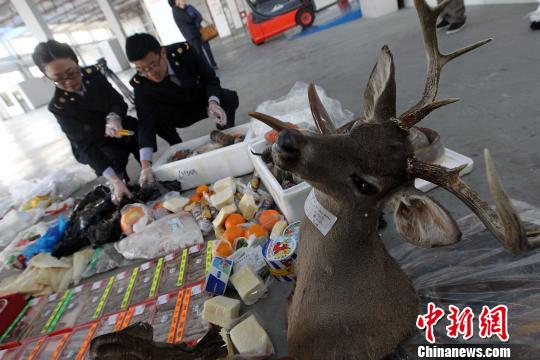 上海检验检疫部门集中销毁禁止携带入境物品等