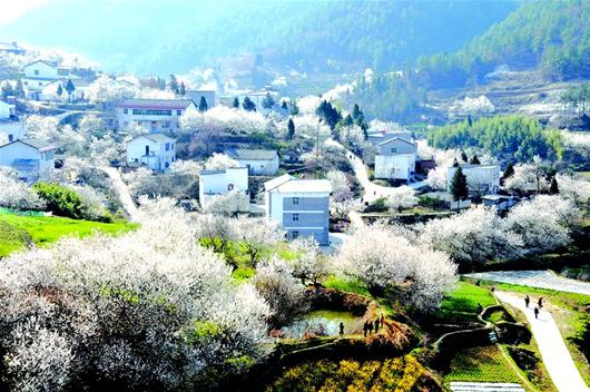 定兴人口_重磅 定兴非遗小镇规划图出炉,打造4A级景区 9月见(2)