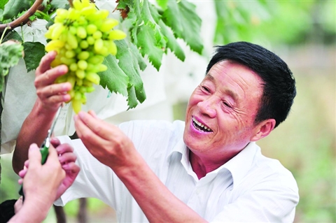 苏报记者 施艳秋