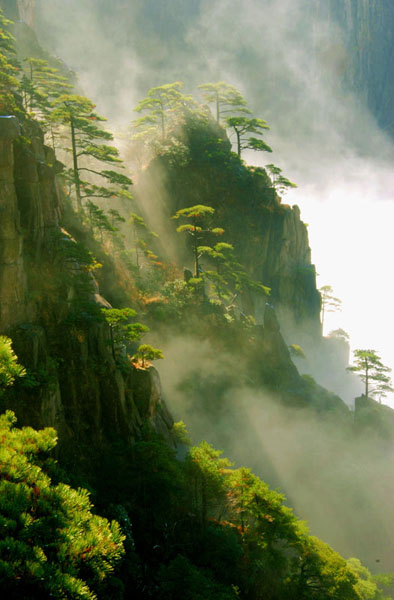 黄山太平县人口_黄山到太平中巴(3)