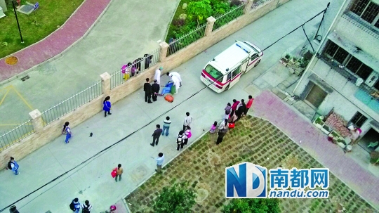 珠海一中学的初中女生遭女生围殴,被打晕倒地。 网友供图