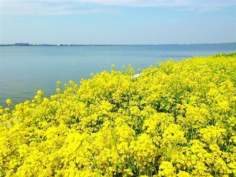 春分时节话春风(组图)