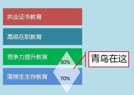 职业教育的红海中为什么是达内?(上)-搜狐教育