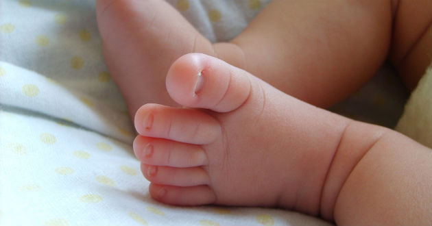 婴儿的小脚丫资料图