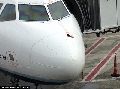 飞机似乎被撞出一个洞。（图片来源：英国媒体）