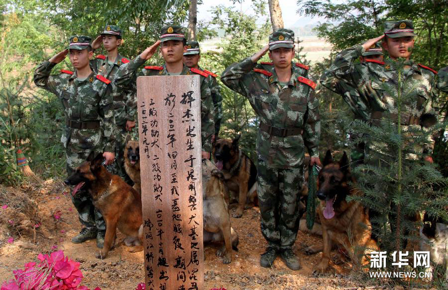 清明节前悼念"警犬战友"(组图)