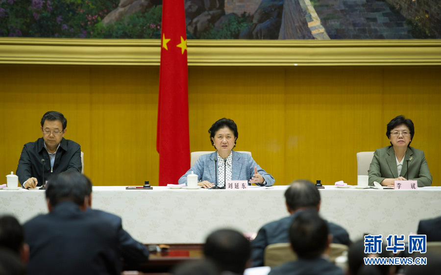 刘延东出席县级公立医院综合改革电视电话会议并讲话