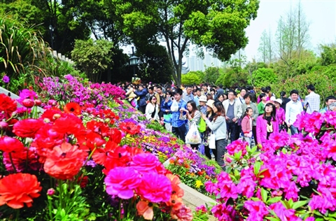上方山国家森林公园迎来近2万游客(组图)