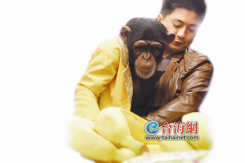 来自猩猩的它 逛超市买水果(图)-中国学网-中国