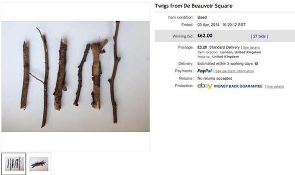 英国卖家网上拍卖普通树枝 以近650元高价成交