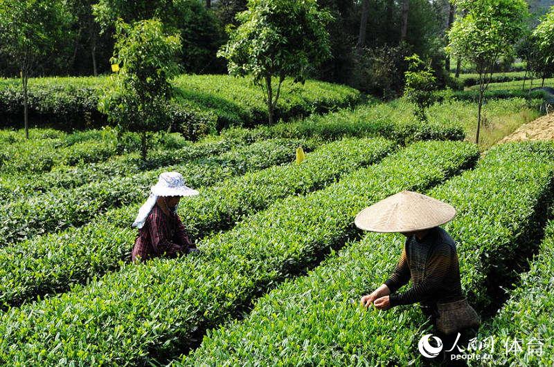 中国?成都自行车车迷健身节在蒲江举行(组图)