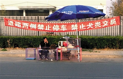 北京一狗市外,商贩在“禁止犬类交易”的条幅下摆摊。