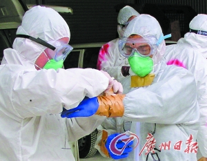 日本3年来首现禽流感(图)