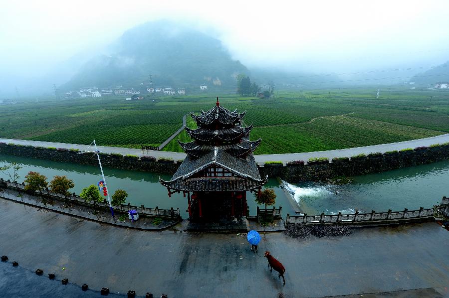 新华社照片,宣恩湖北,2014年4月15日