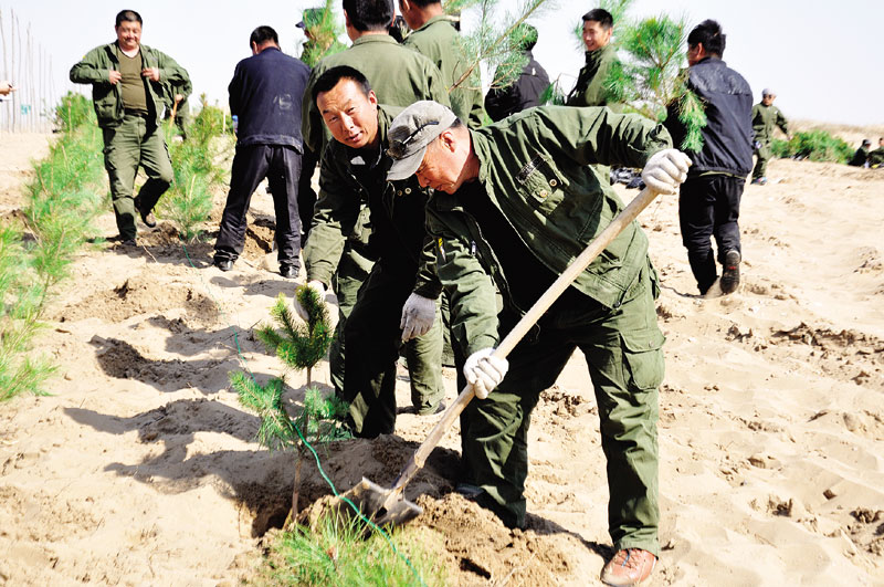 4月15日,通辽市科左后旗林业局护林员正在沙地栽植樟子松树苗.