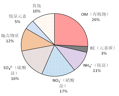 北京市2012-2013年度pm2.5主要成分质量百分比