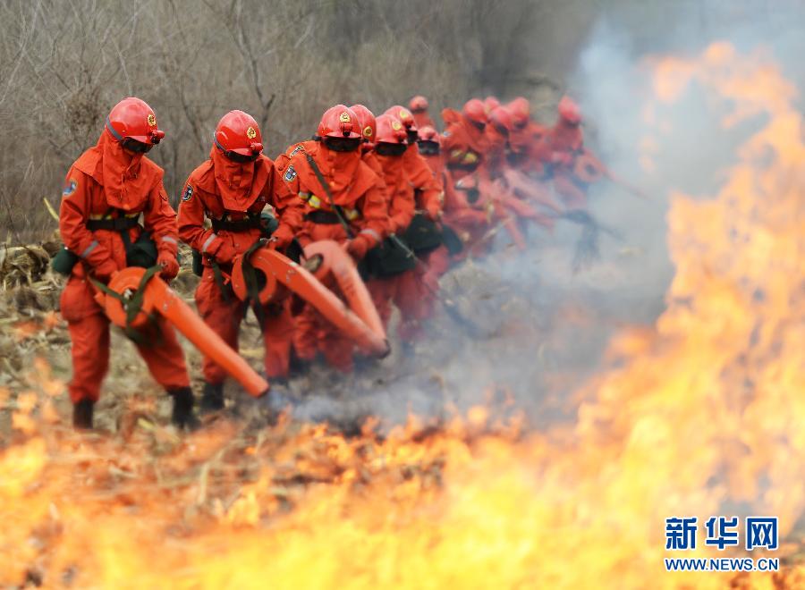 【组图】武警哈尔滨市森林支队开展灭火作战实兵演习(组图)