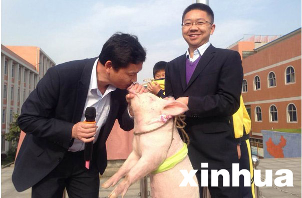 27日，4000学生注视下，咸宁市实验小学副校长洪耀明俯身亲吻小猪。