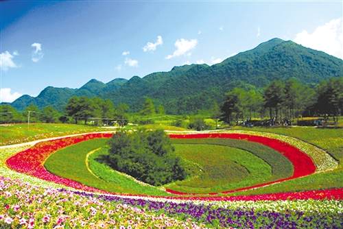 巫溪红池坝云中花海