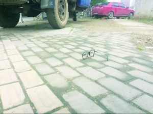被撞老人的眼镜掉落在路旁。金陵晚报记者 张彪 摄