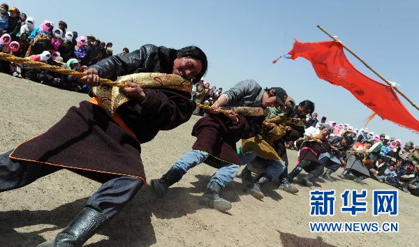 4月29日,果洛藏秀麻村的藏族牧民在拔河比赛中.