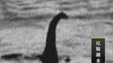 ˮˮʵ¼:ʮƷú