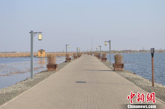 黑龙江省呼兰河口湿地公园两岸春水荡漾,风光秀美。 王琳 摄