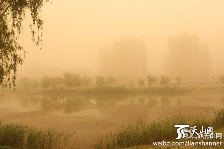 新疆喀什遭遇大风沙尘天气袭击 满城一片黄(图