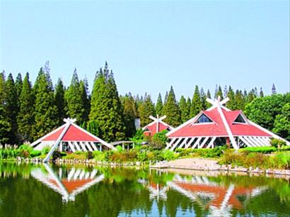 东平国家森林公园内的标志性建筑地理地球自转高中图片